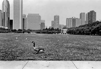 Grant Park - Chicago, IL USA