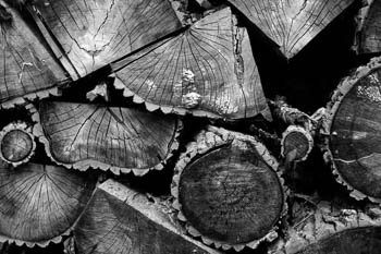 Firewood - Lake Petenwell, WI USA