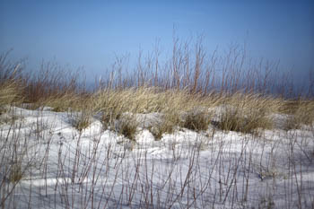 Montrose Beach - Chicago, IL USA