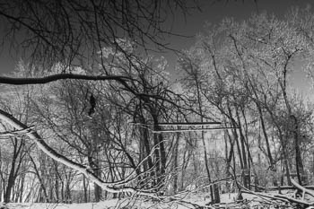 River Forest. IL USA