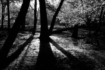 River Forest, IL USA