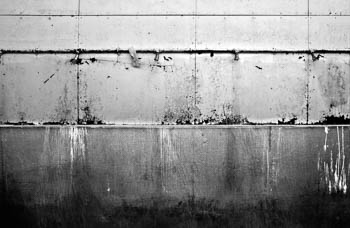 Montrose Beach - Chicago, IL USA