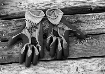 Garden Gloves - Norridge, IL USA