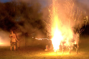 Fireworks - Streamwood, IL USA