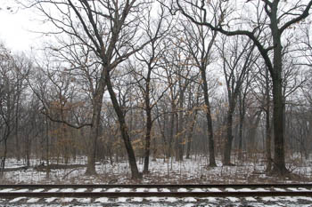 River Forest, IL USA