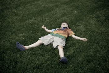 Arlington Heights, IL USA