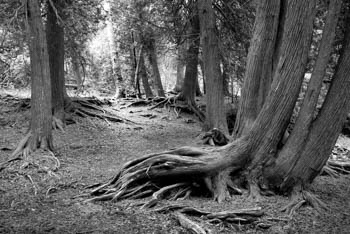 Mackinac Island, MI USA