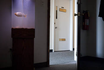 Harwood Heights, IL USA