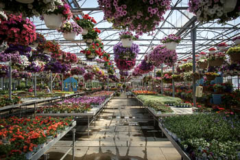 Lake Station, IN USA