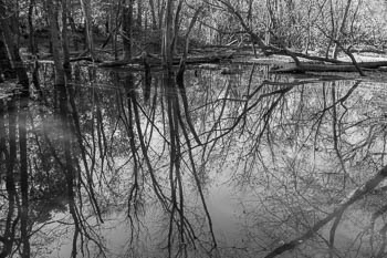 River Forest, IL USA