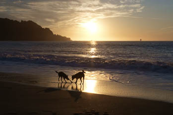 San Francisco, CA USA